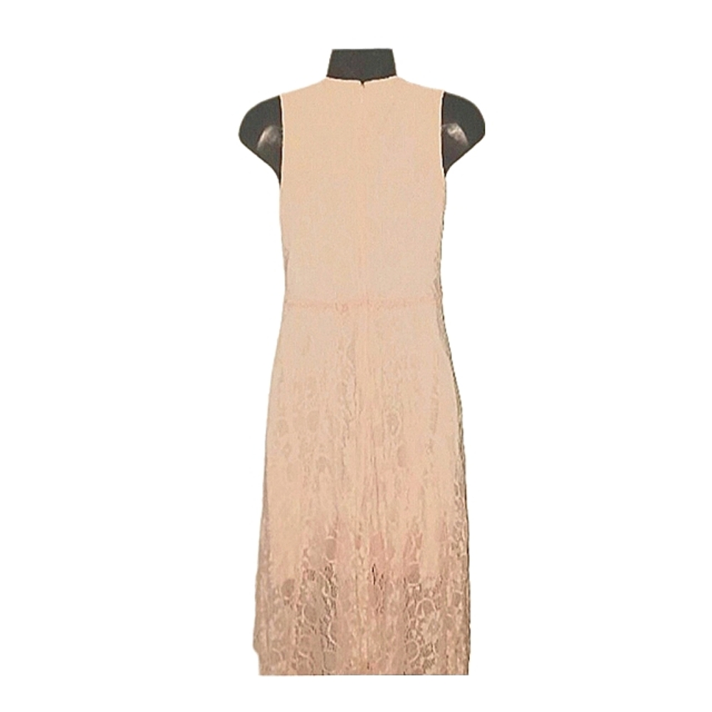 Venus | Pink Lace Evening Dress - Picture 3 of 5